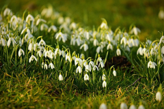Februar